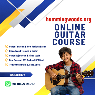 HWSM Promo-Guitar-2 (1)